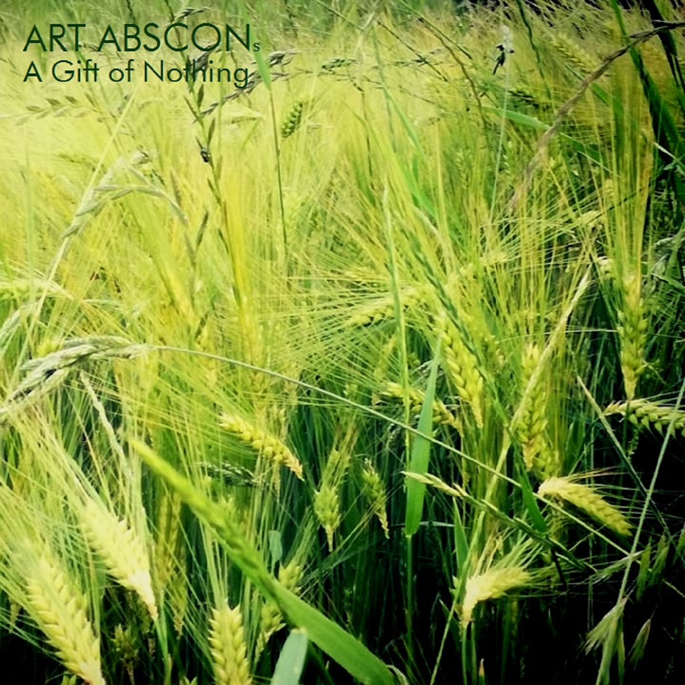 A Gift of Nothing groß